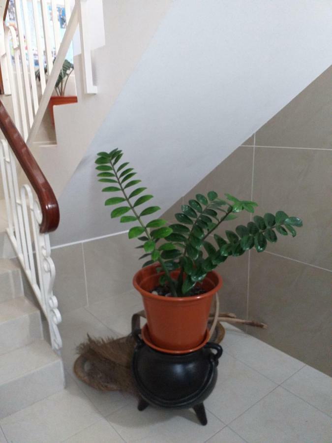 Maderalzinho Apartment Mindelo Ngoại thất bức ảnh